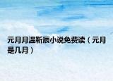 元月月温靳辰小说免费读（元月是几月）