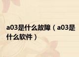 a03是什么故障（a03是什么软件）
