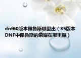 dnf60版本佩鲁斯哪里出（85版本DNF中佩鲁斯的荣耀在哪里爆）
