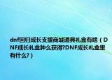 dnf回归成长支援商城道具礼盒有啥（DNF成长礼盒肿么获得?DNF成长礼盒里有什么?）