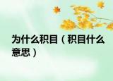为什么积目（积目什么意思）