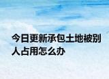今日更新承包土地被别人占用怎么办