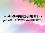 pagefile文件夹哪些可以删除（pagefile是什么文件??可以删除吗??）