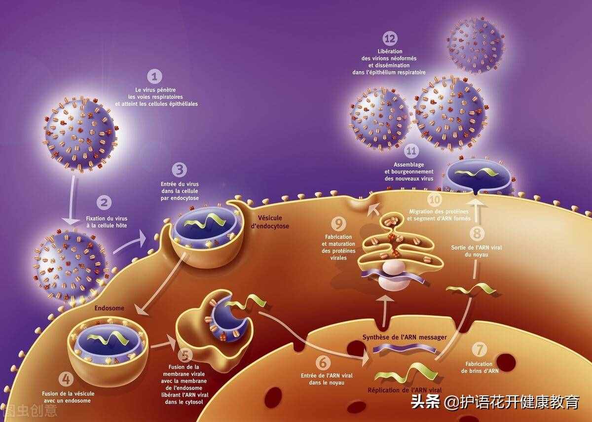 乱用抗生素会带来什么样的危害？
