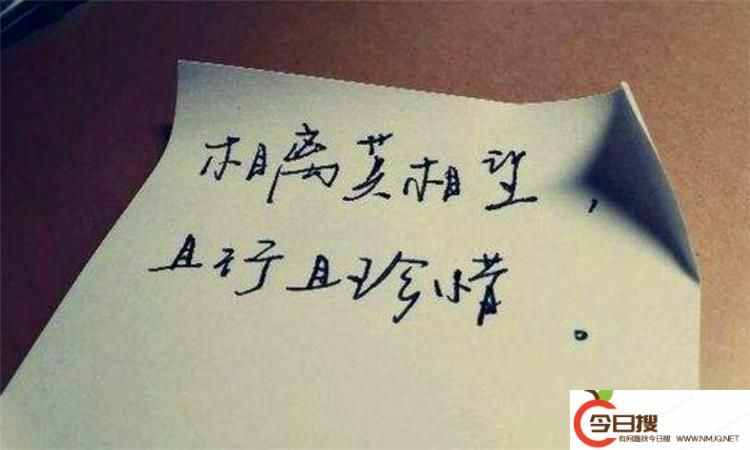 且行且珍惜什么意思