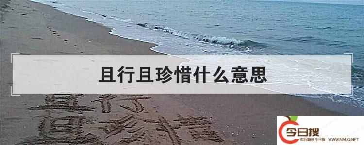 且行且珍惜什么意思