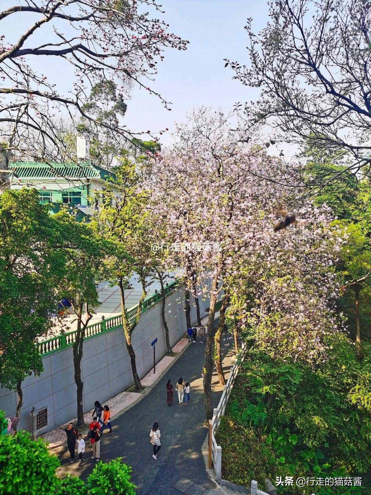广州越秀公园游览路线推荐，深度游玩拍照攻略