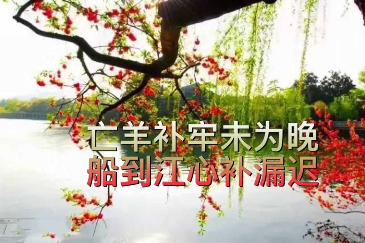 小故事大道理：亡羊补牢未为晚，船到江心补漏迟