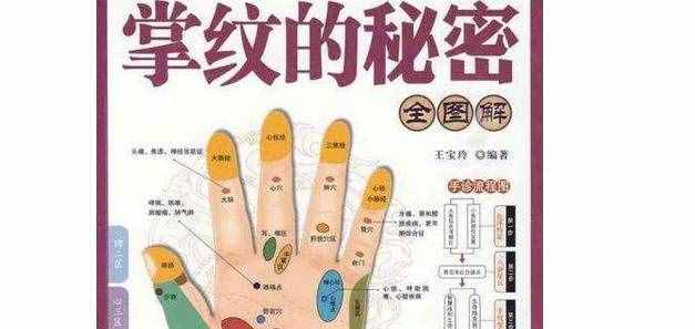 掌纹的秘密全图解的含义介绍