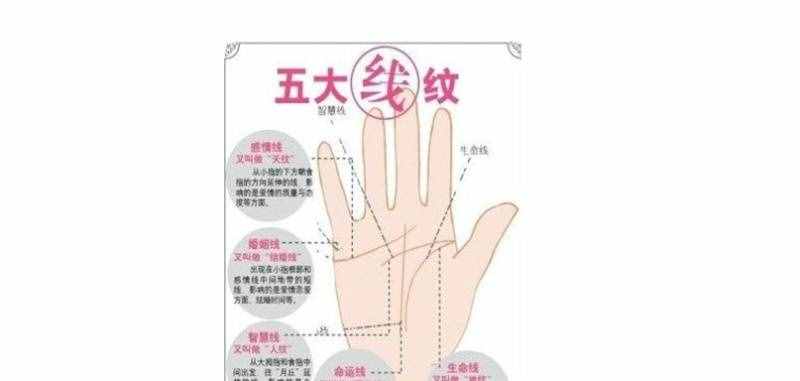 掌纹的秘密全图解的含义介绍