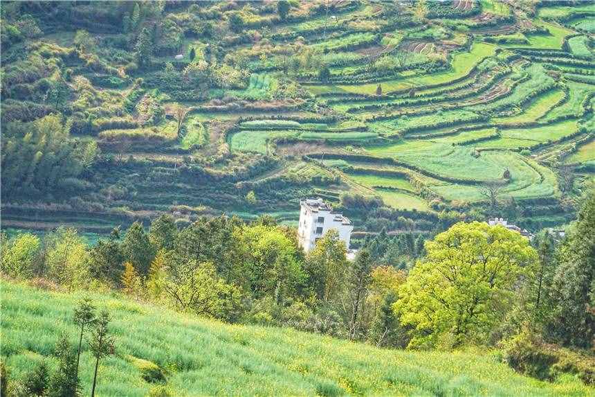 江西婺源旅游，推荐你最值得打卡的六个景点，每一个都很美