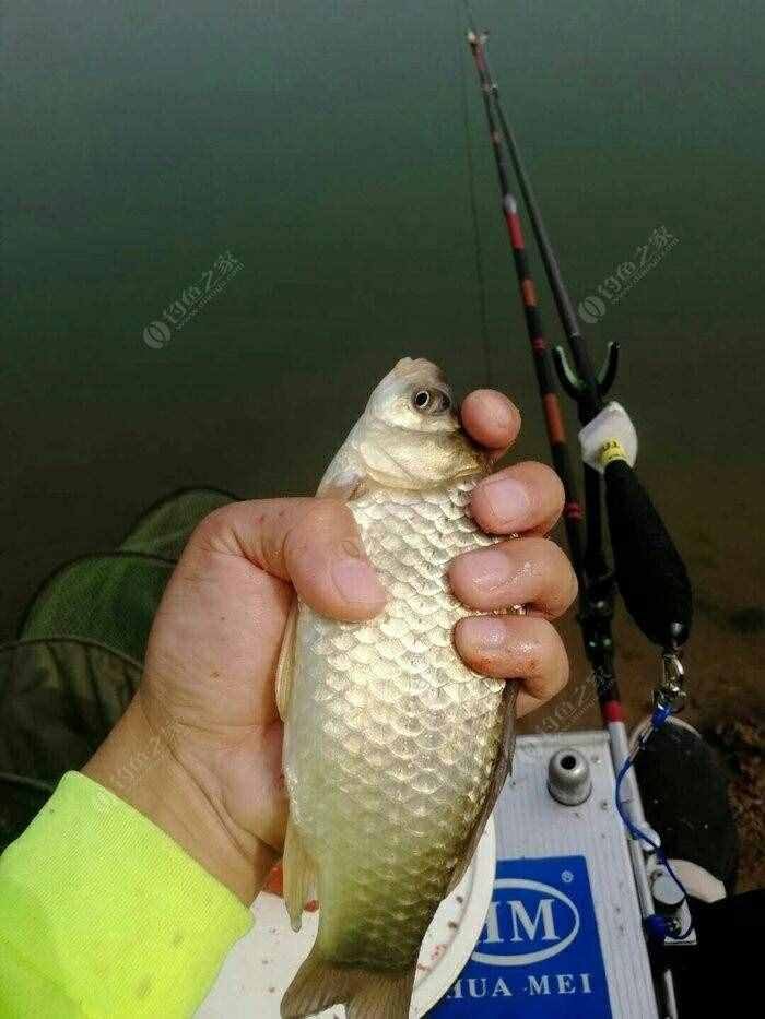 钓鱼时需要注意的小细节，这些一定要知道