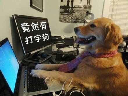 狗屁不通文章生成器火了！听说李小璐都在用？