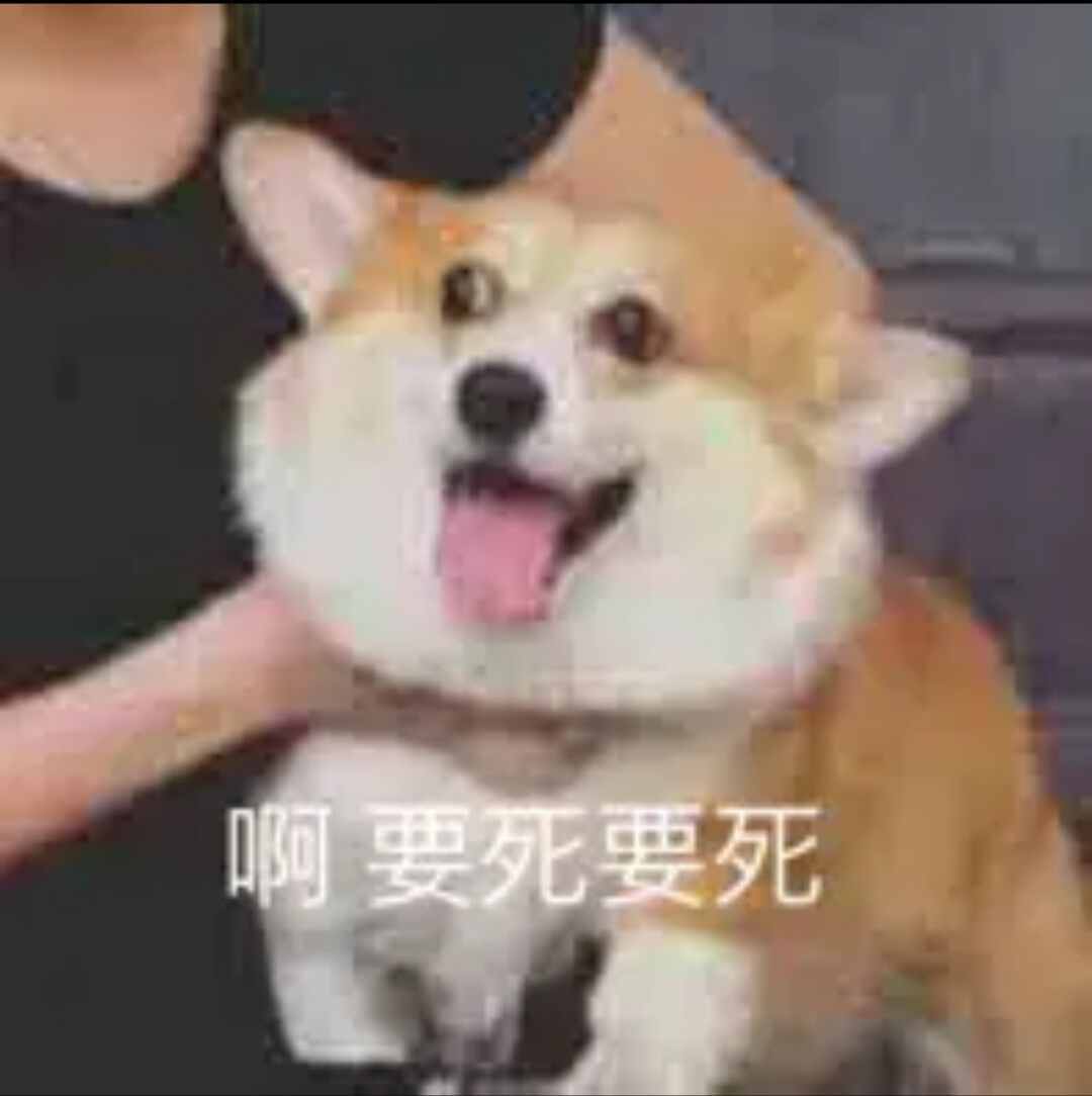 狗屁不通文章生成器火了！听说李小璐都在用？