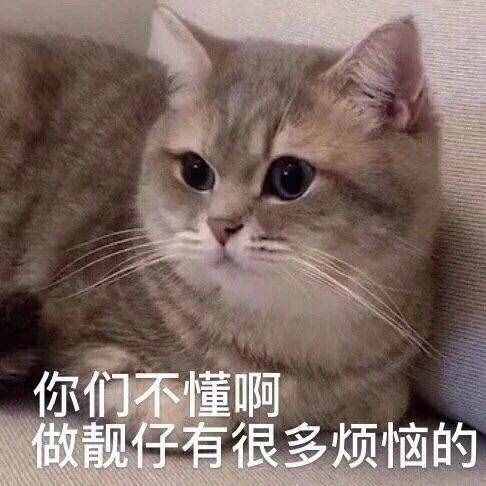 有趣的笑话合集,周末到了,看看笑话开心一下