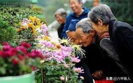 四副重阳节对联,上联为旧联,下联新对,欢迎高手一起来重对