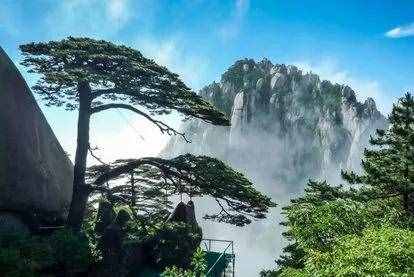 中国四大旅游名山分别是什么？
