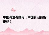 中国有没有蜂鸟（中国有没有核电站）