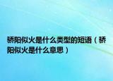 骄阳似火是什么类型的短语（骄阳似火是什么意思）