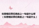 似曾相识燕归来的上一句是什么呀（似曾相识燕归来的上一句是什么）