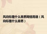 风向标是什么意思网络用语（风向标是什么意思）