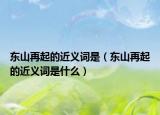 东山再起的近义词是（东山再起的近义词是什么）