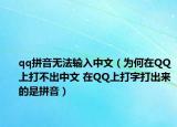 qq拼音无法输入中文（为何在QQ上打不出中文 在QQ上打字打出来的是拼音）