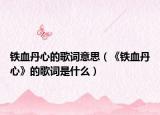 铁血丹心的歌词意思（《铁血丹心》的歌词是什么）