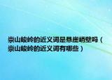 崇山峻岭的近义词是悬崖峭壁吗（崇山峻岭的近义词有哪些）