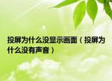 投屏为什么没显示画面（投屏为什么没有声音）