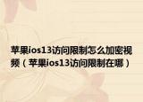 苹果ios13访问限制怎么加密视频（苹果ios13访问限制在哪）
