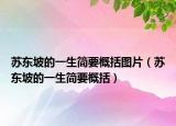 苏东坡的一生简要概括图片（苏东坡的一生简要概括）