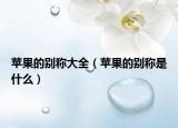 苹果的别称大全（苹果的别称是什么）