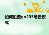 如何设置gn205场景模式