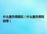什么是负荷阻抗（什么是负荷同时率）