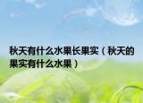 秋天有什么水果长果实（秋天的果实有什么水果）