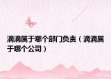 滴滴属于哪个部门负责（滴滴属于哪个公司）