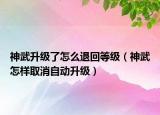 神武升级了怎么退回等级（神武怎样取消自动升级）