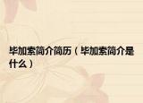 毕加索简介简历（毕加索简介是什么）