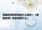 青藏高原的歌词是什么意思（《青藏高原》的歌词是什么）