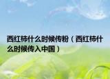 西红柿什么时候传粉（西红柿什么时候传入中国）