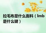 拉毛布是什么面料（lmb是什么键）