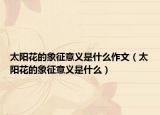 太阳花的象征意义是什么作文（太阳花的象征意义是什么）