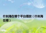什刹海在哪个平台播放（什刹海在哪）