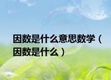 因数是什么意思数学（因数是什么）