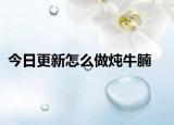 今日更新怎么做炖牛腩
