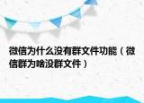 微信为什么没有群文件功能（微信群为啥没群文件）