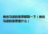 蛛丝马迹的意思解释一下（蛛丝马迹的意思是什么）