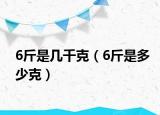 6斤是几千克（6斤是多少克）