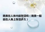 跳蚤在人体内能存活吗（跳蚤一般能在人身上存活多久）